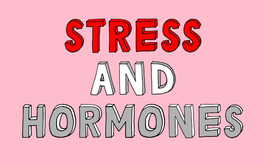 How stress affects our hormones