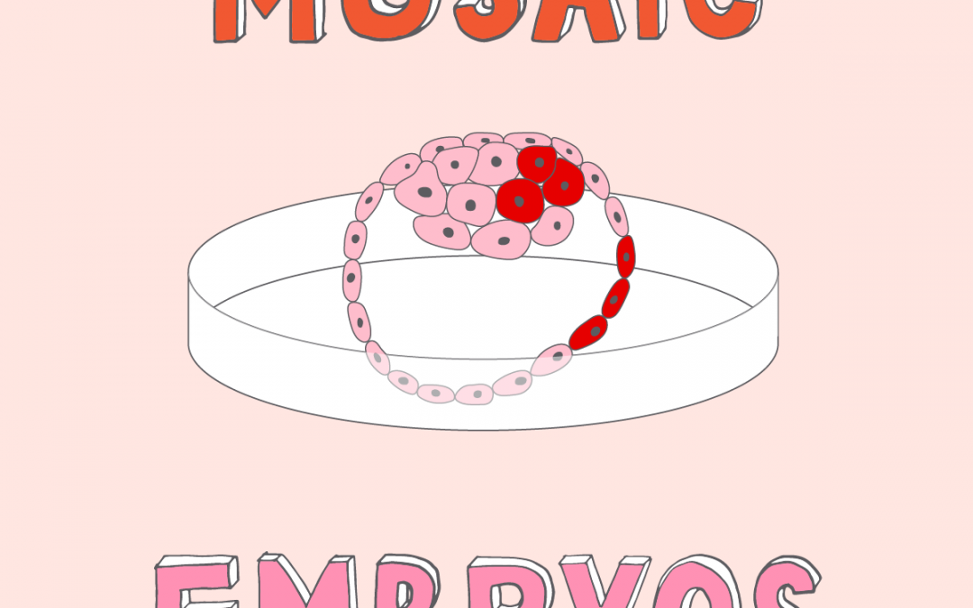 What are Mosaic Embryos?