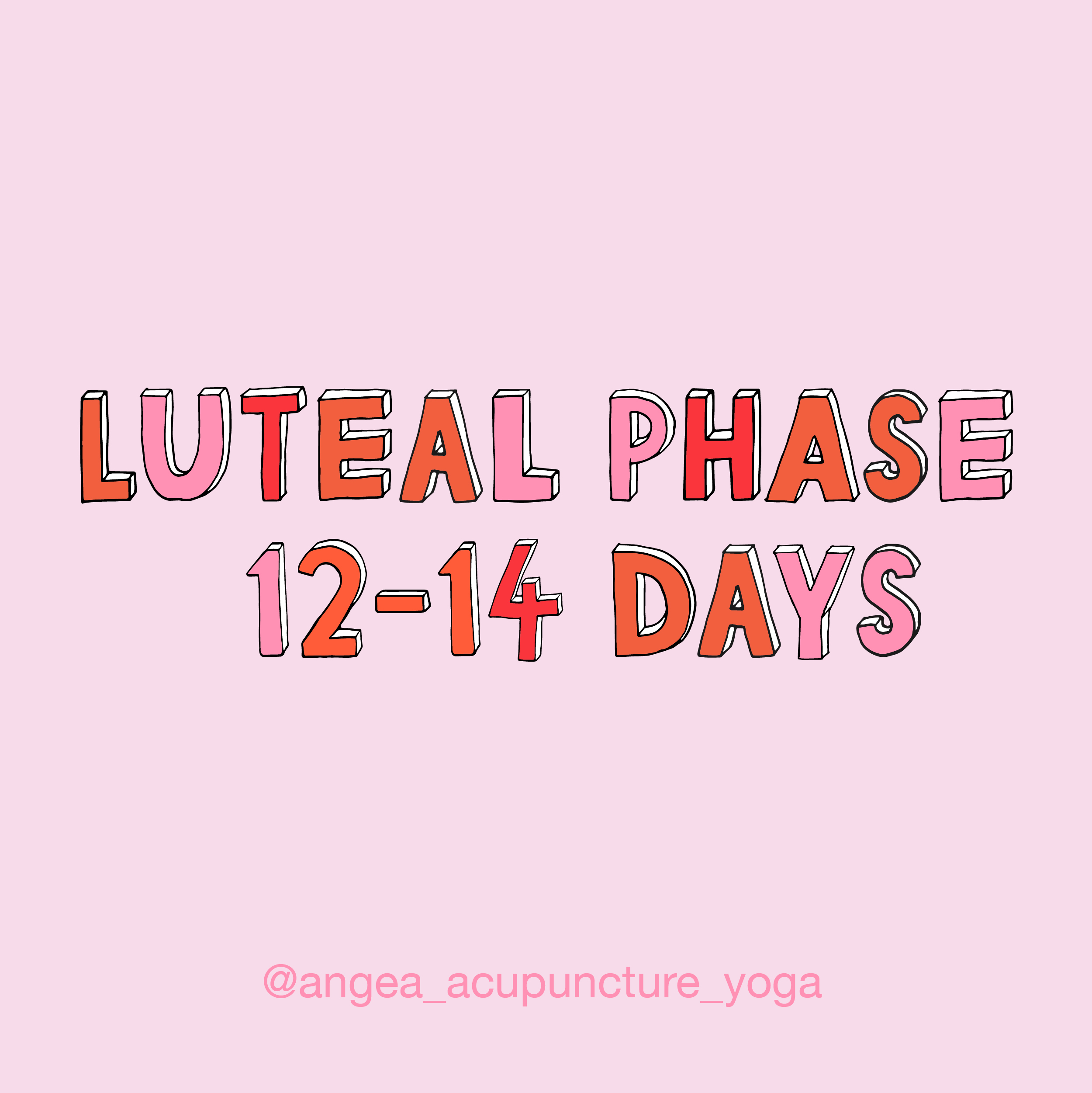 Your Luteal Phase & Pregnancy - Angea