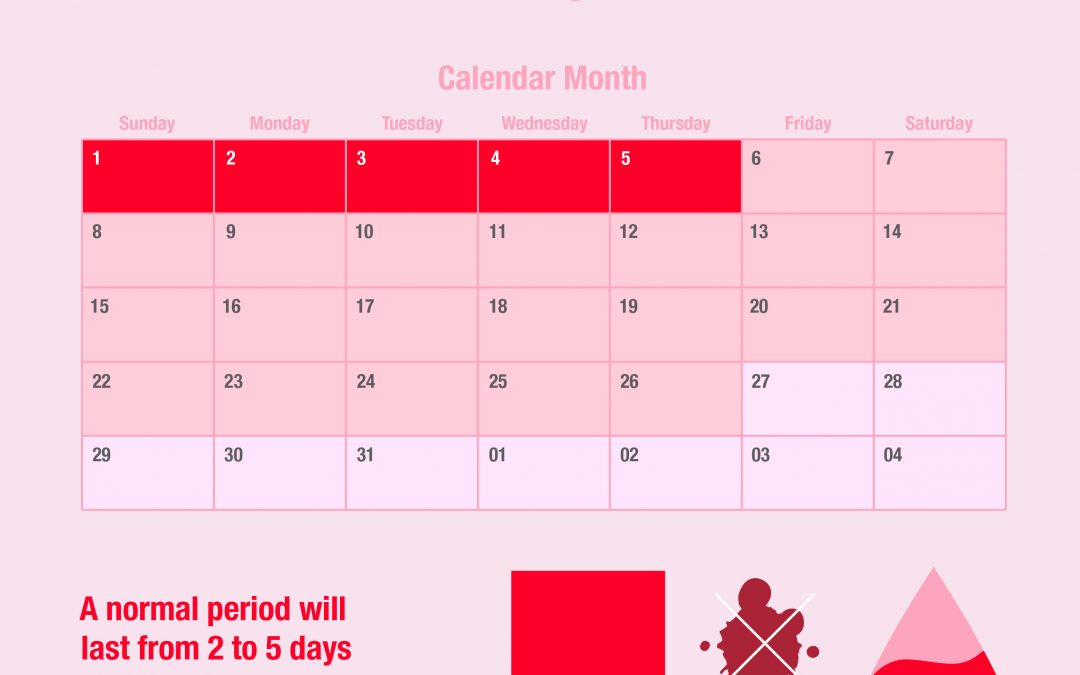 What Is A Normal Menstrual Cycle?
