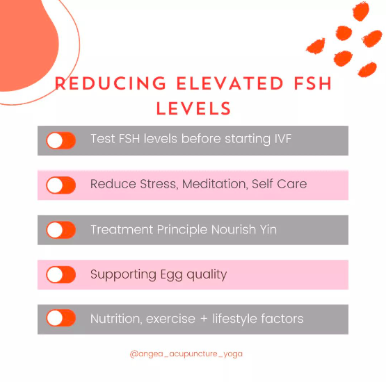 How To Reduce Your FSH Levels